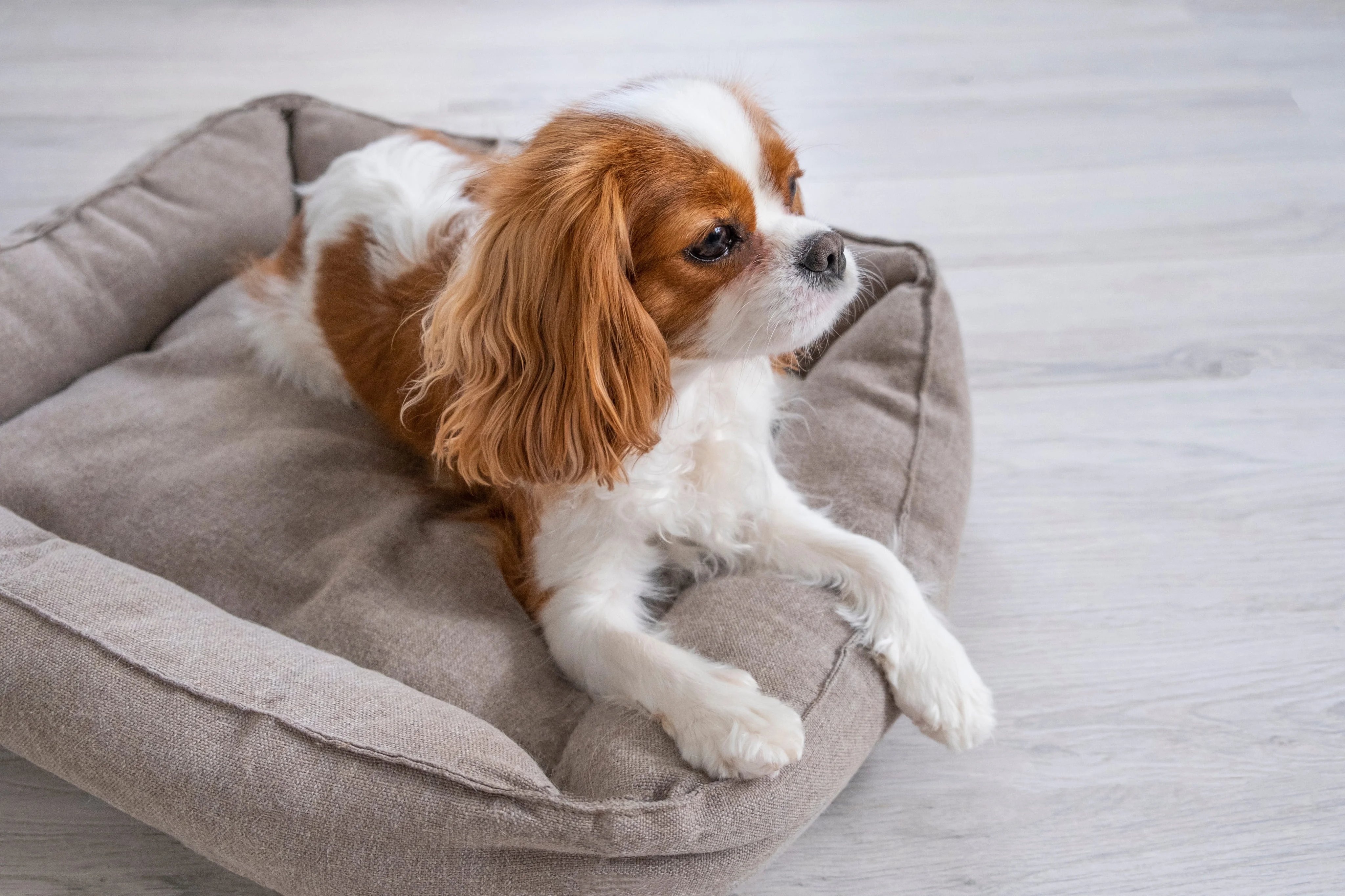 Изменения в поведении и характере