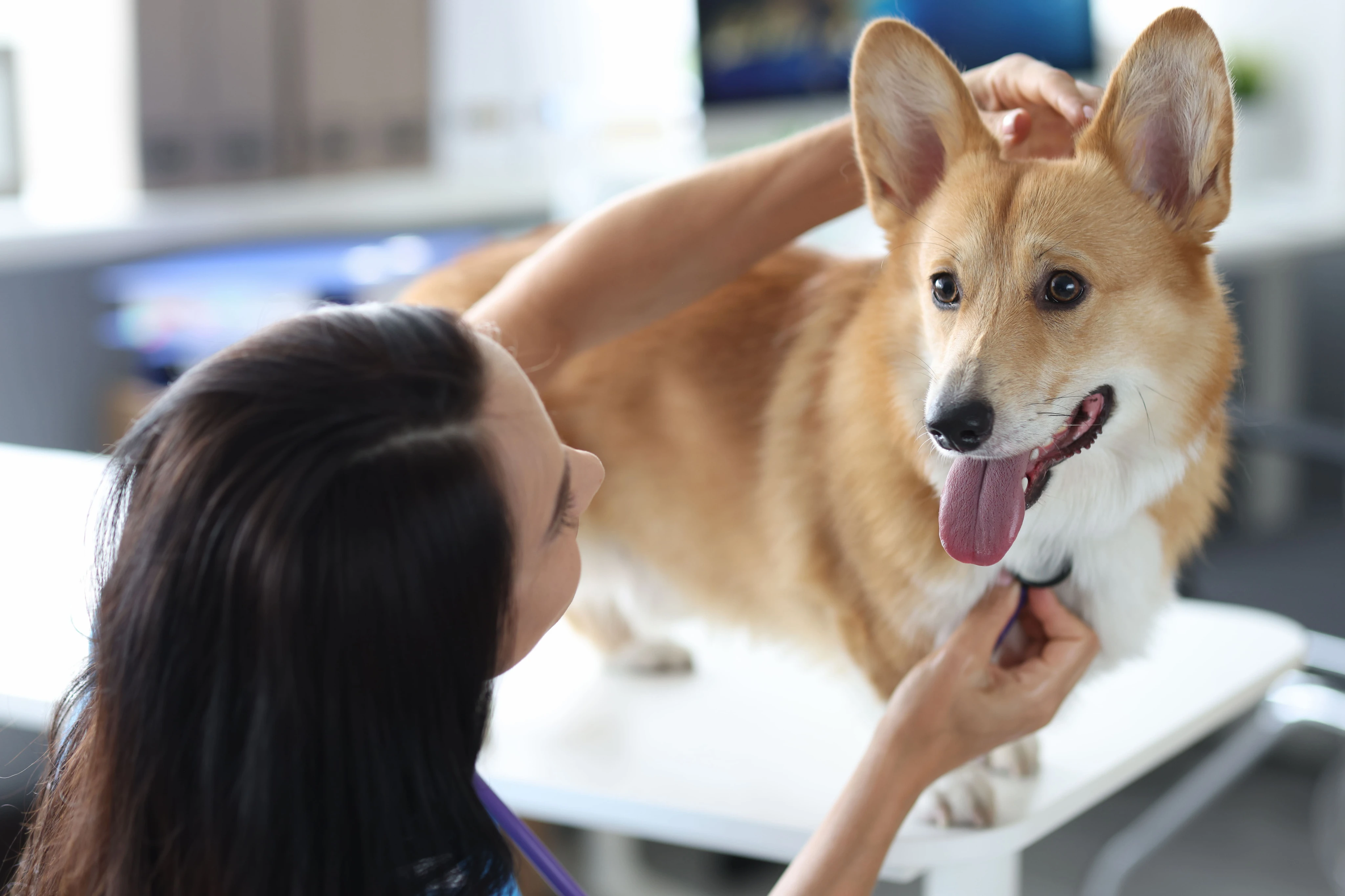 Диагностика возможных заболеваний