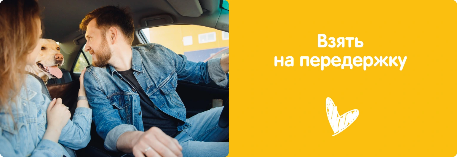 Взять на передержку