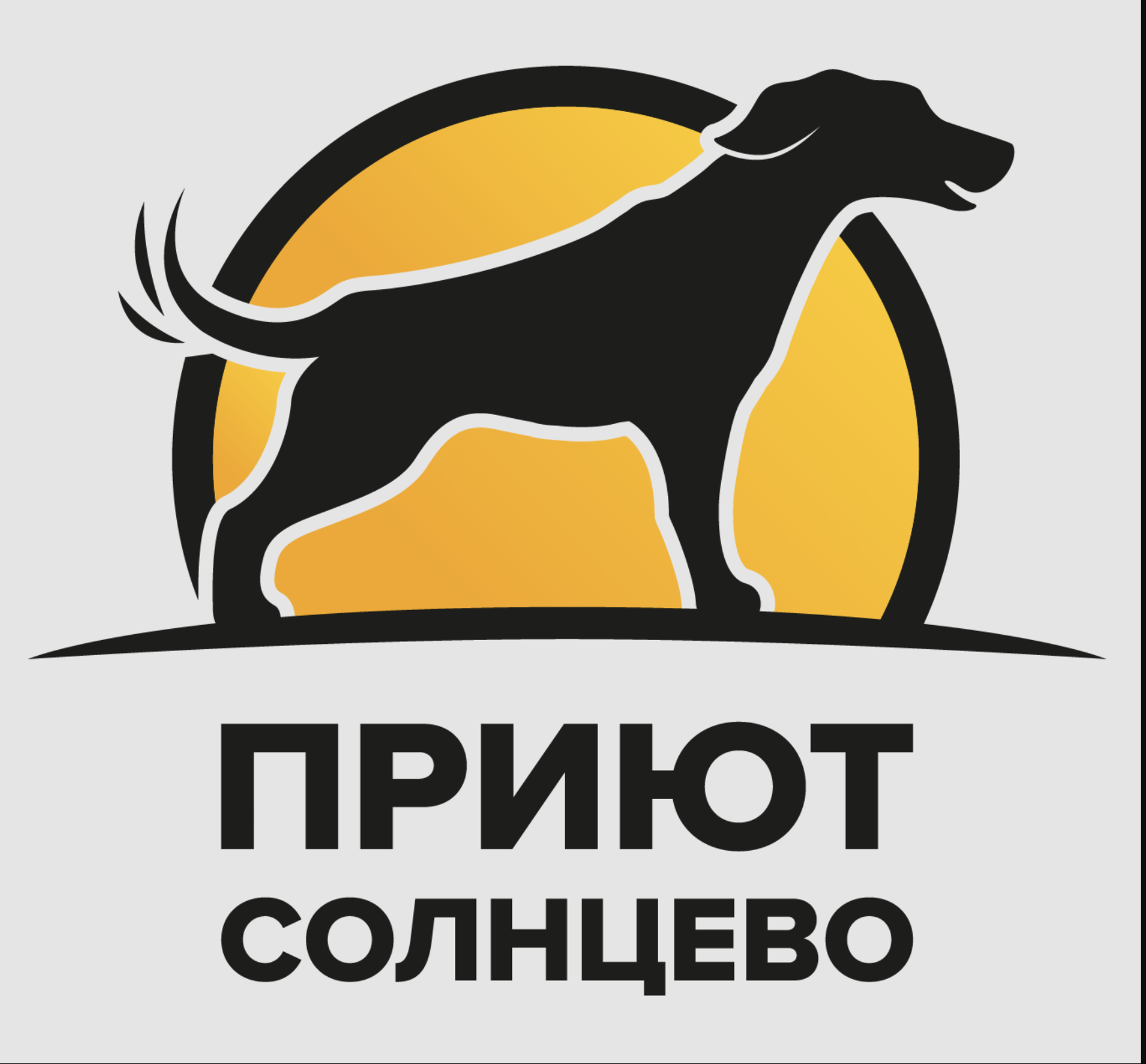 Приют «Солнцево»