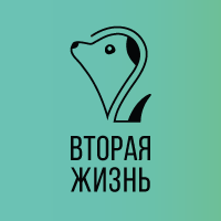 Вторая жизнь