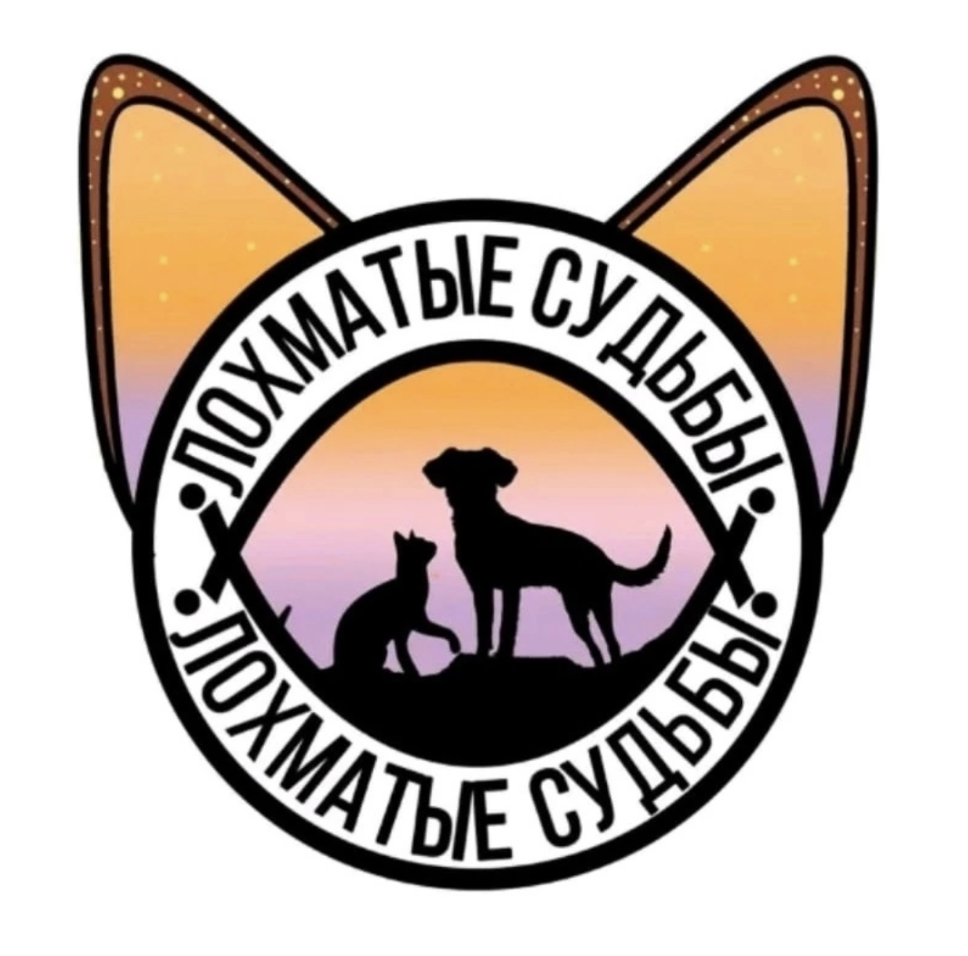Частный приют «Лохматые судьбы