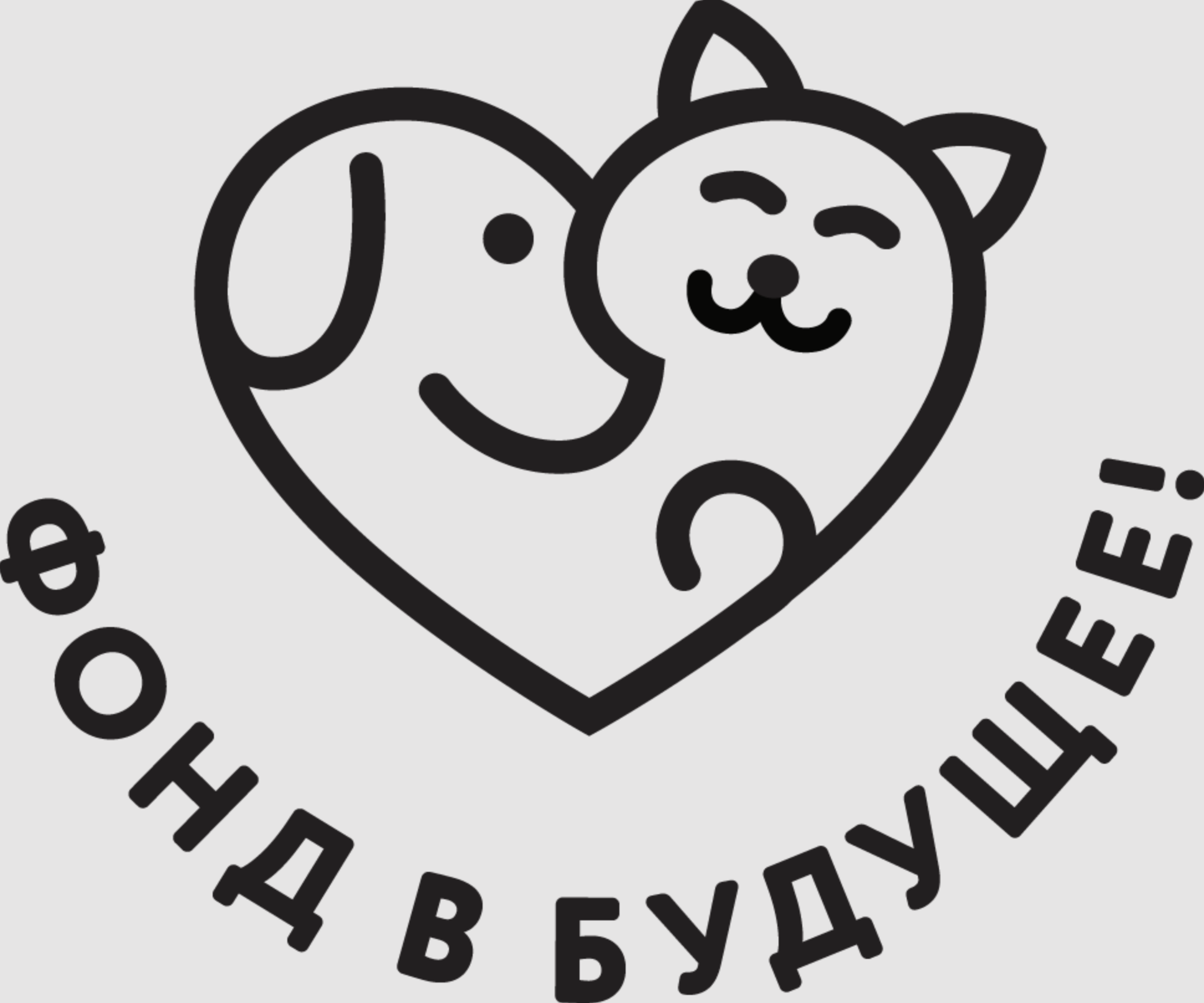 Фонд «В будущее!»