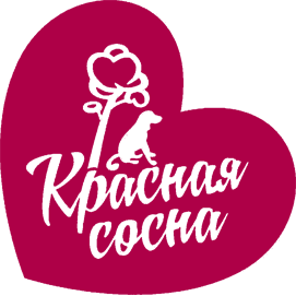 Красная сосна