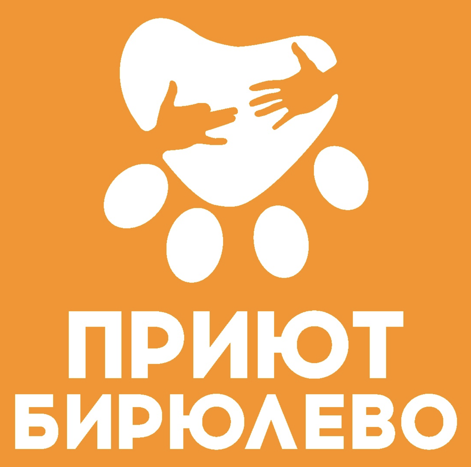 Приют «Бирюлёво»