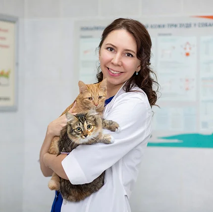 Ромашова Ирина Васильевна