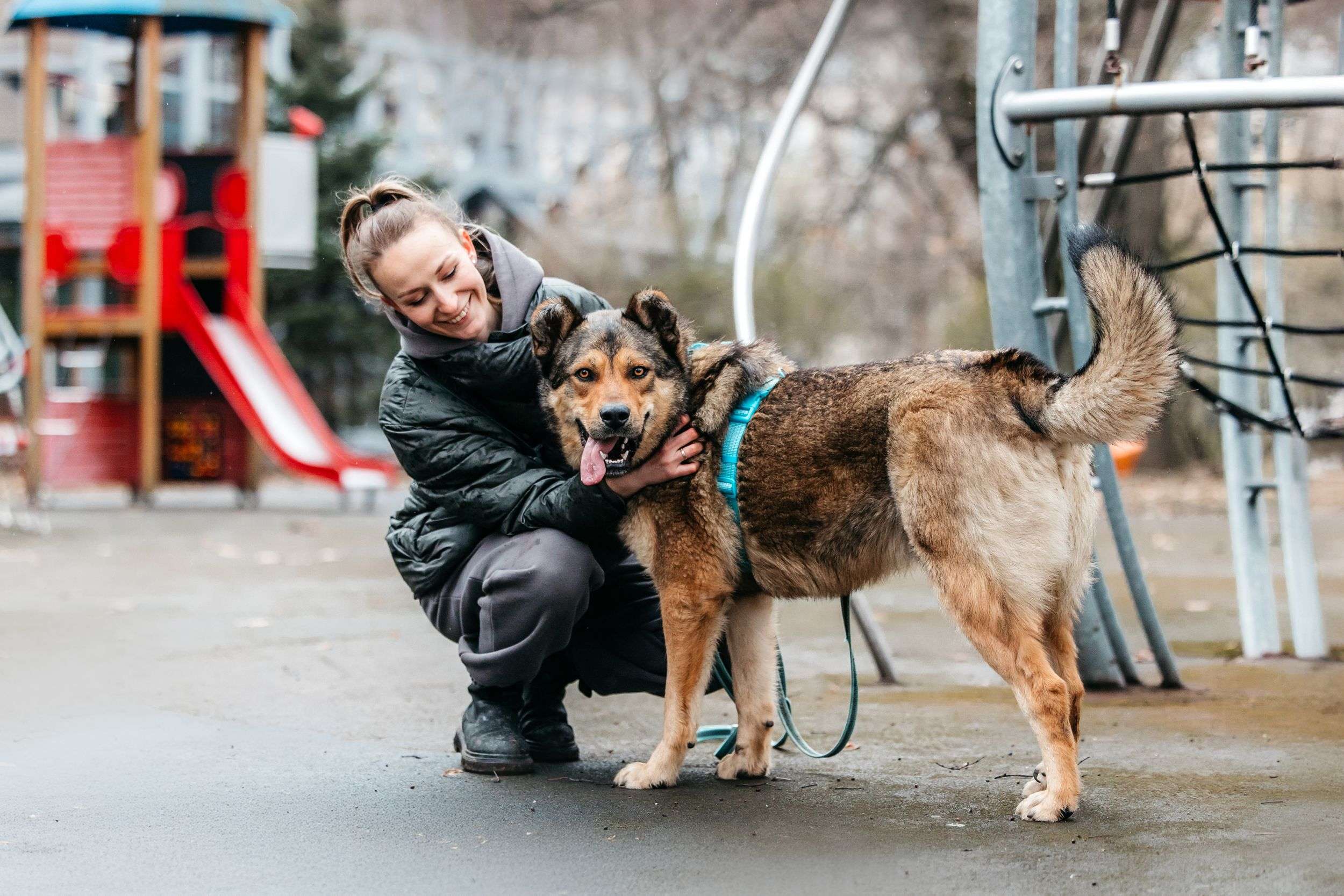 Роскошный Каир ищет дом