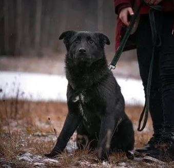 Смолли
