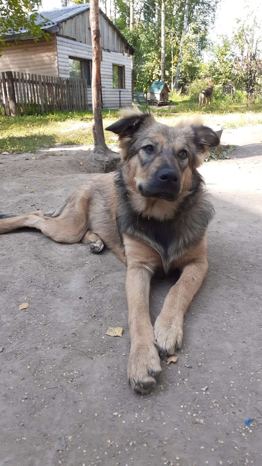 Гретта