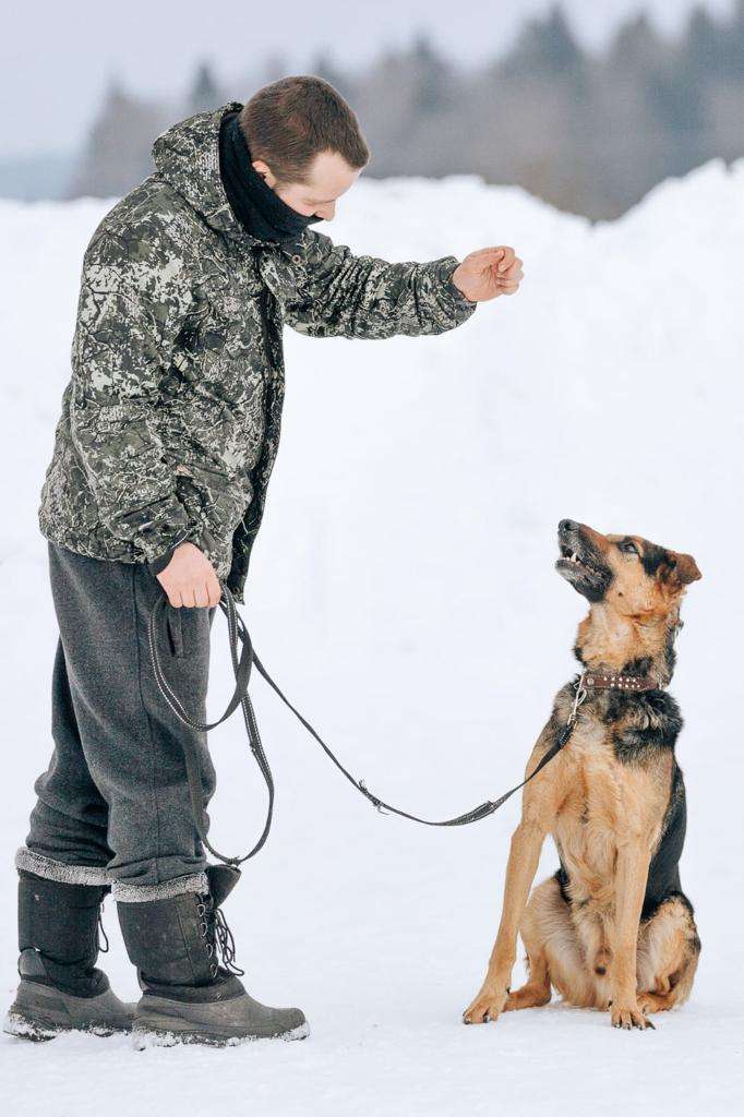 Джой