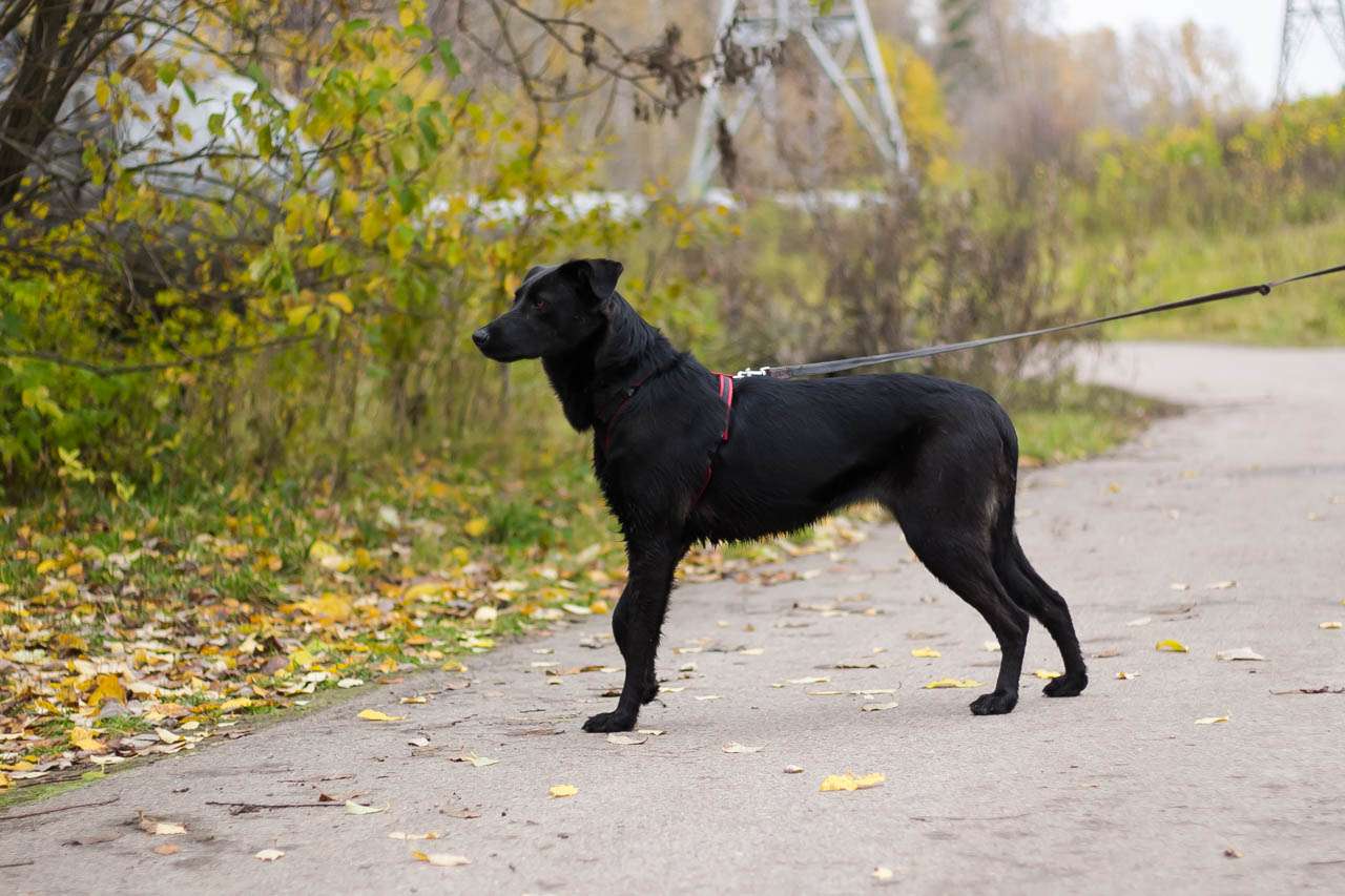 Юви