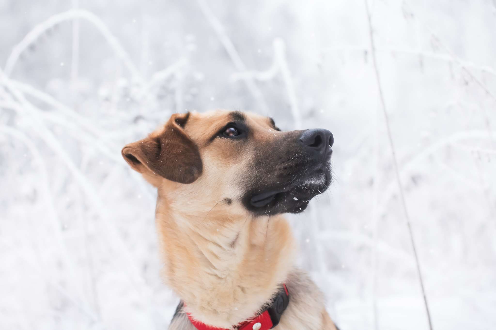 Юлма