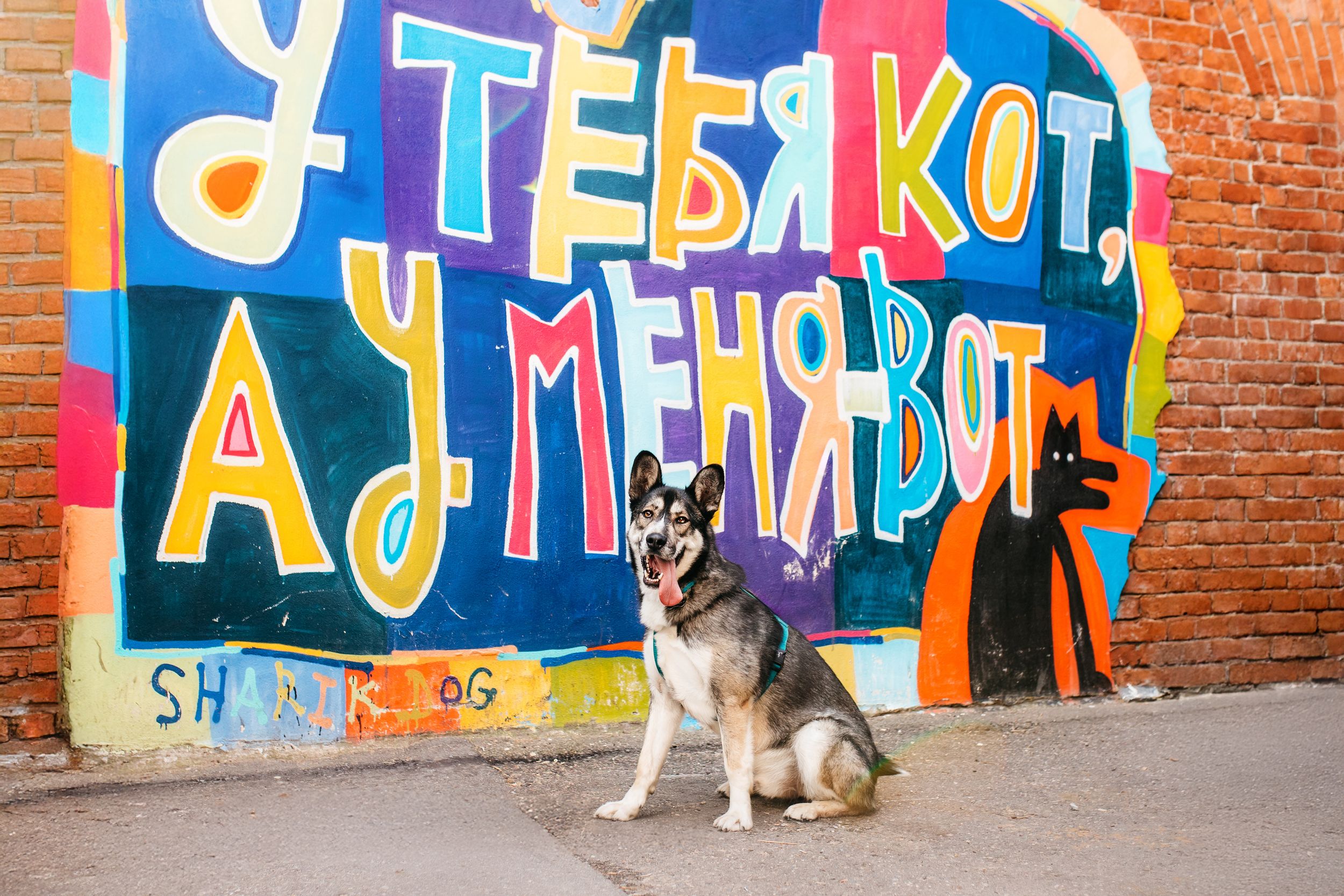 Фантастический Хэппи ищет дом