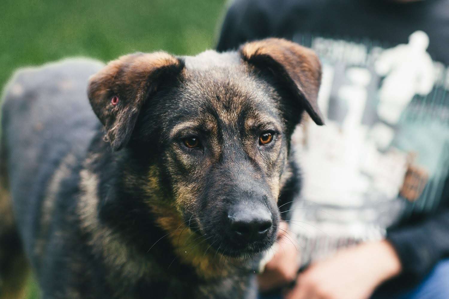 Конар