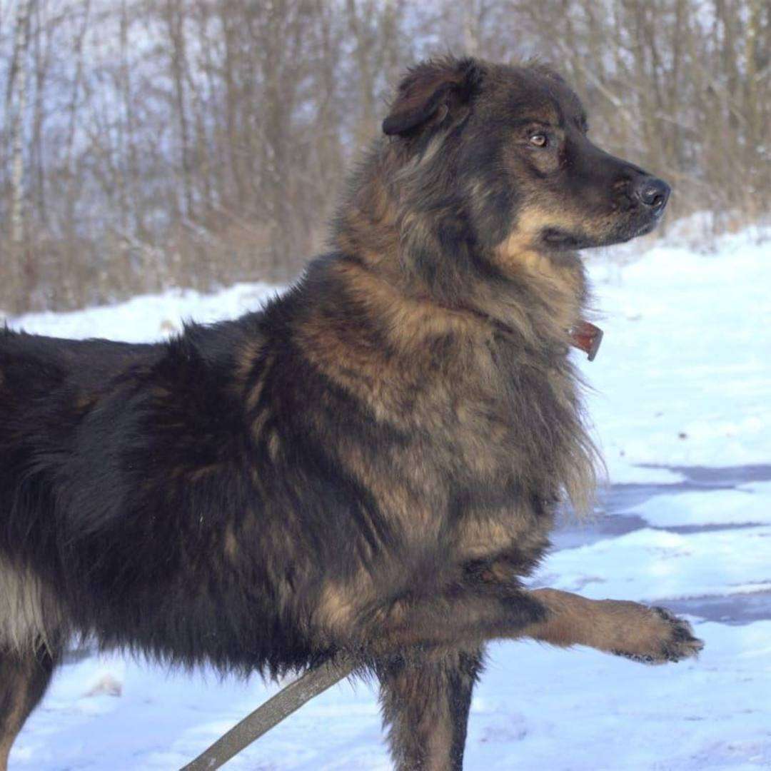 Михась