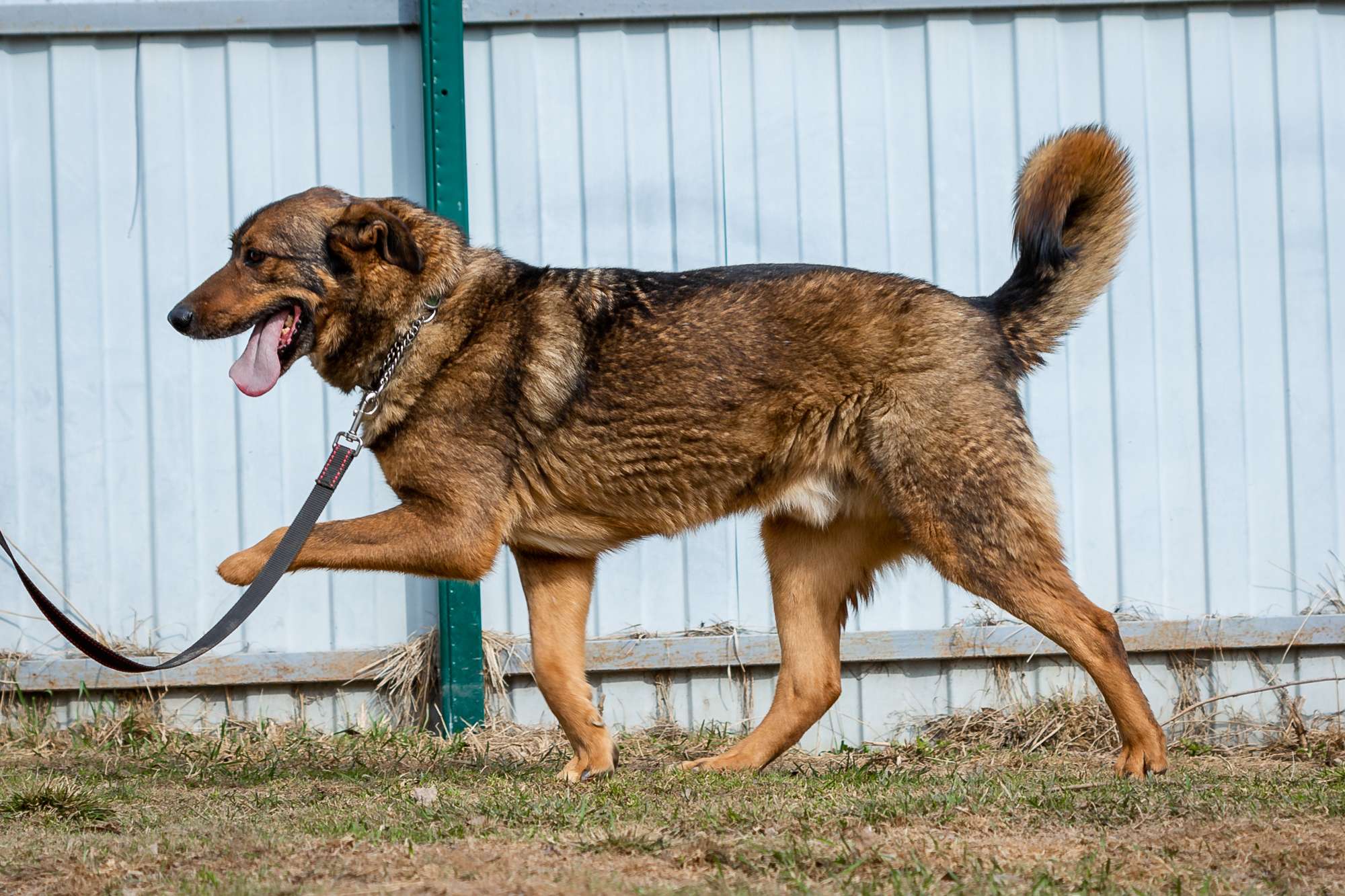 Валик