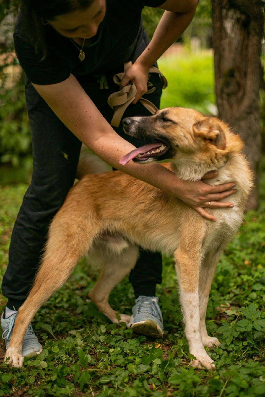 Расти