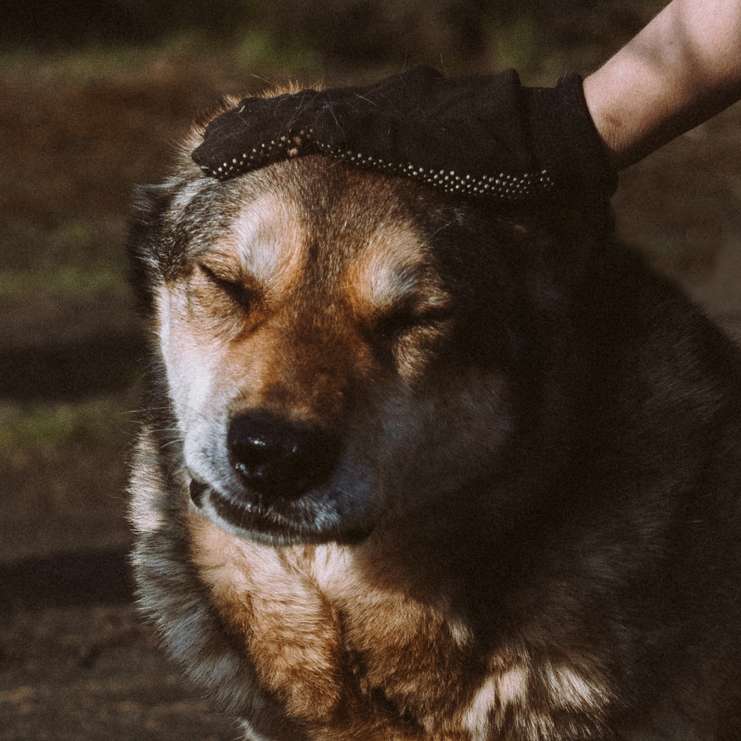 Март