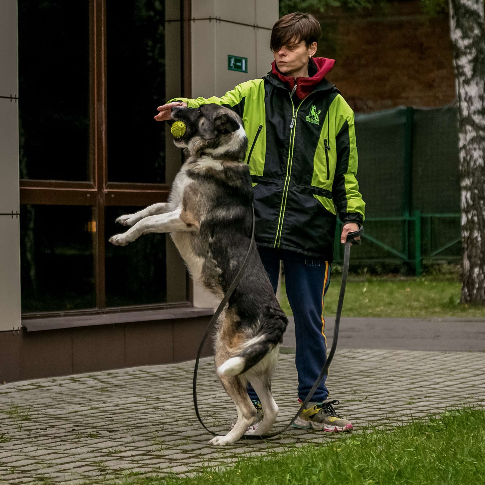 Джек