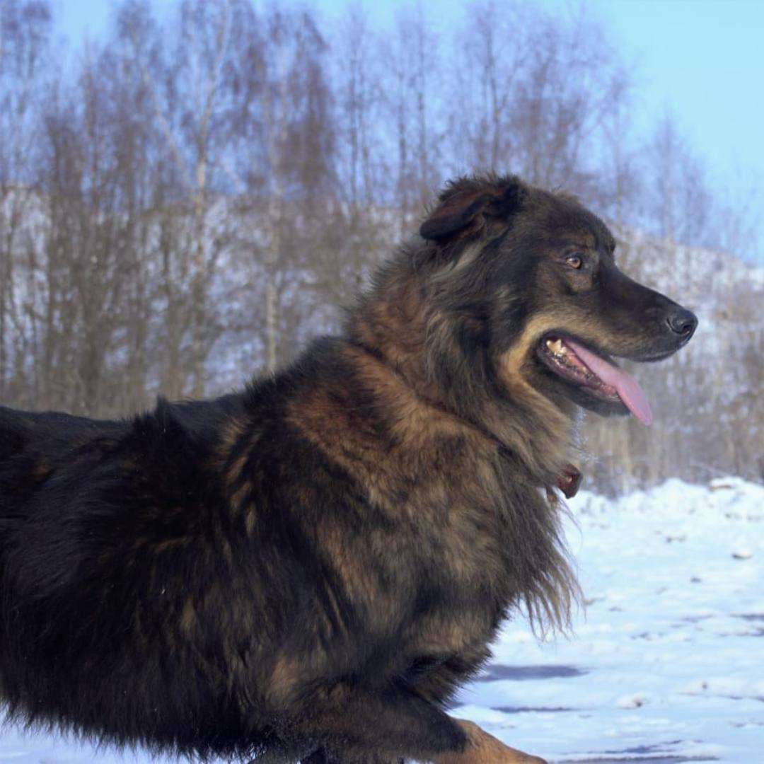 Михась