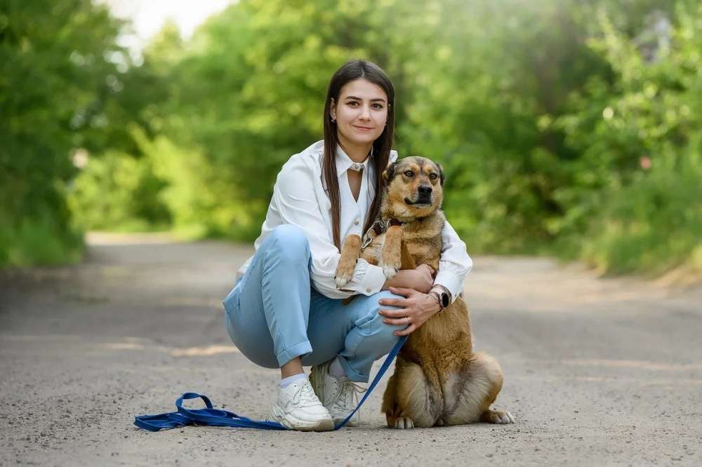 Лиза ждет Вас в приюте!
