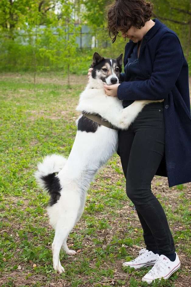 Аша