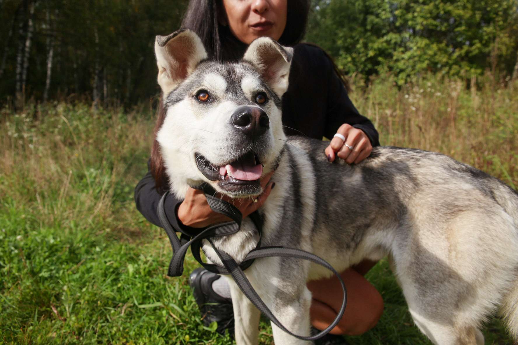Серенький