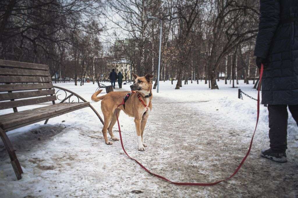 Красотка