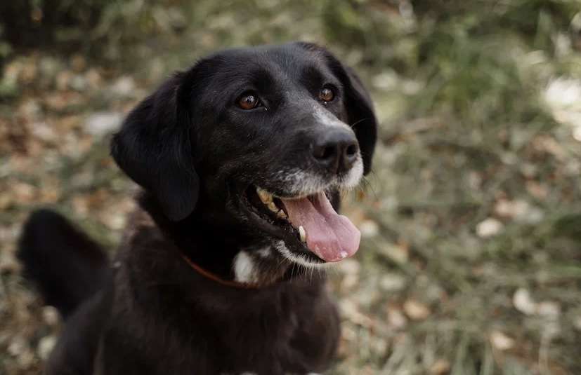 Билла