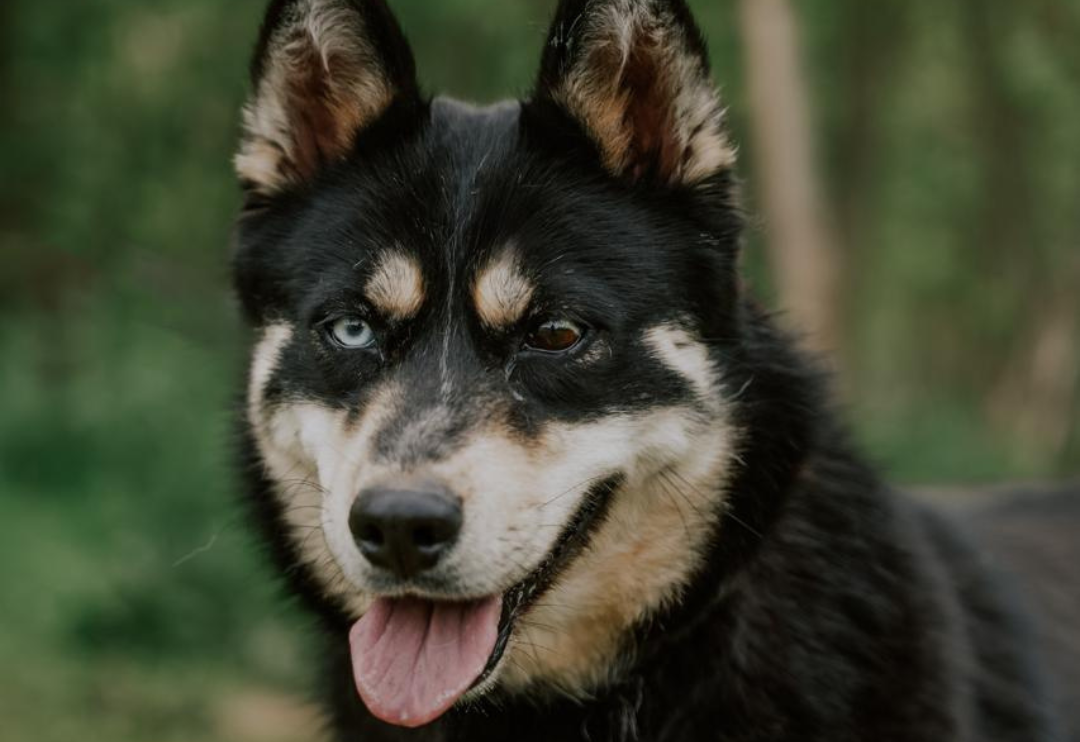 Луна