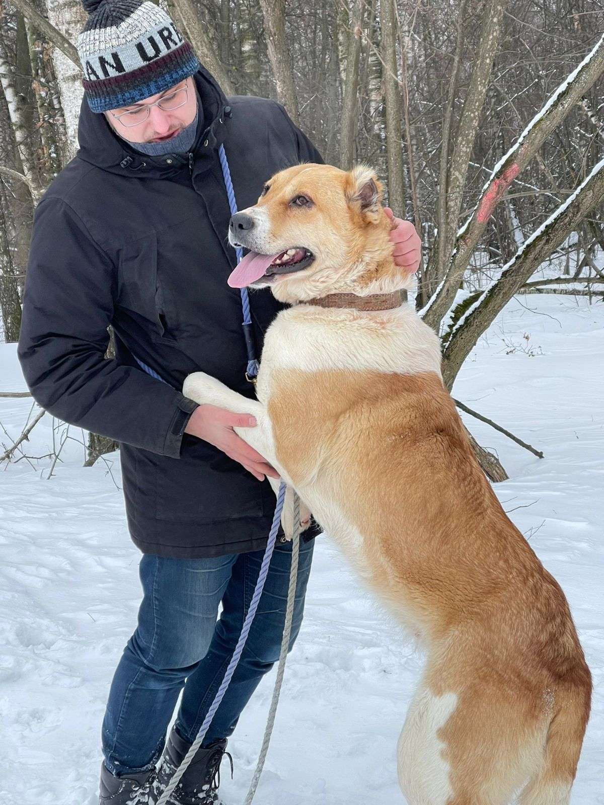 Трисс
