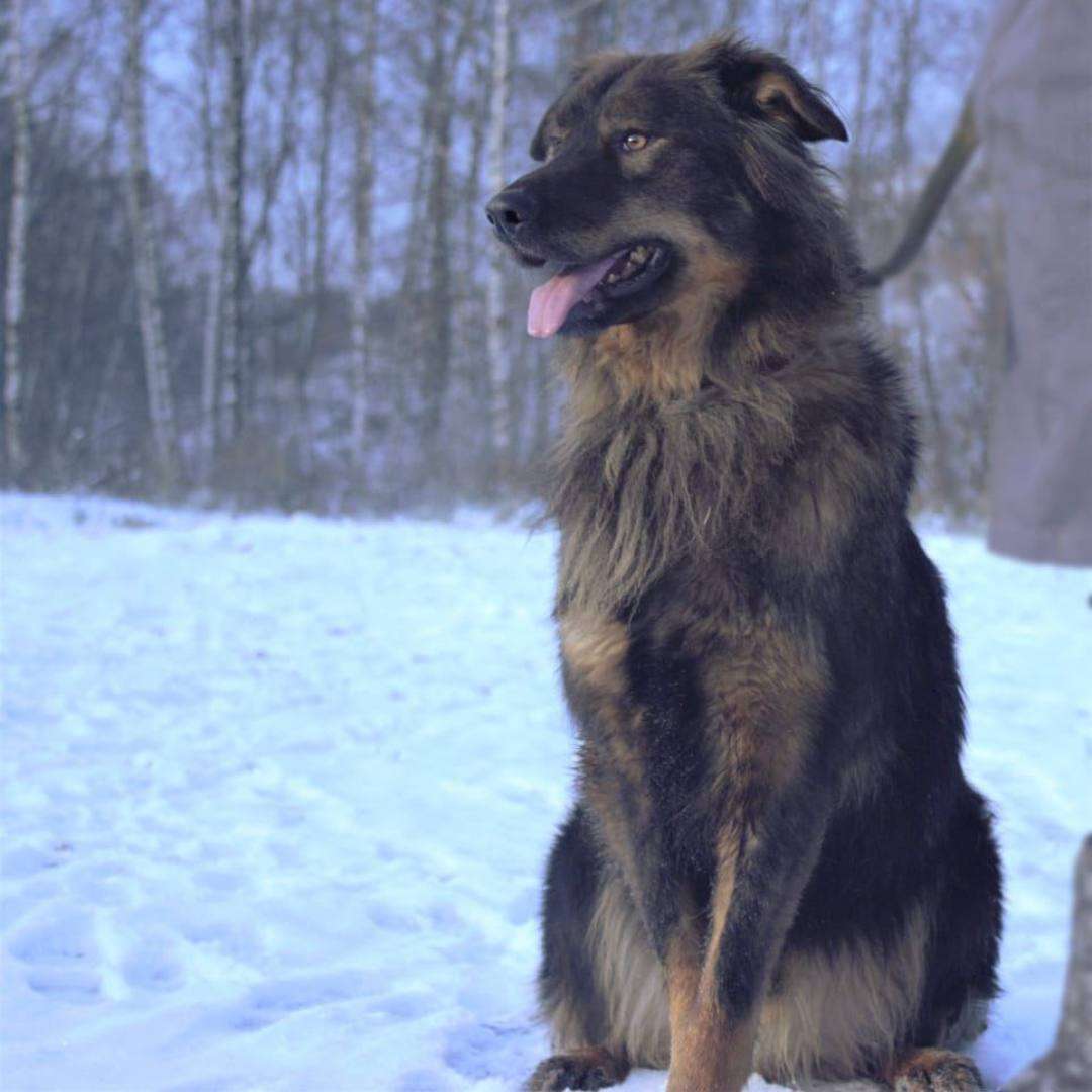 Михась