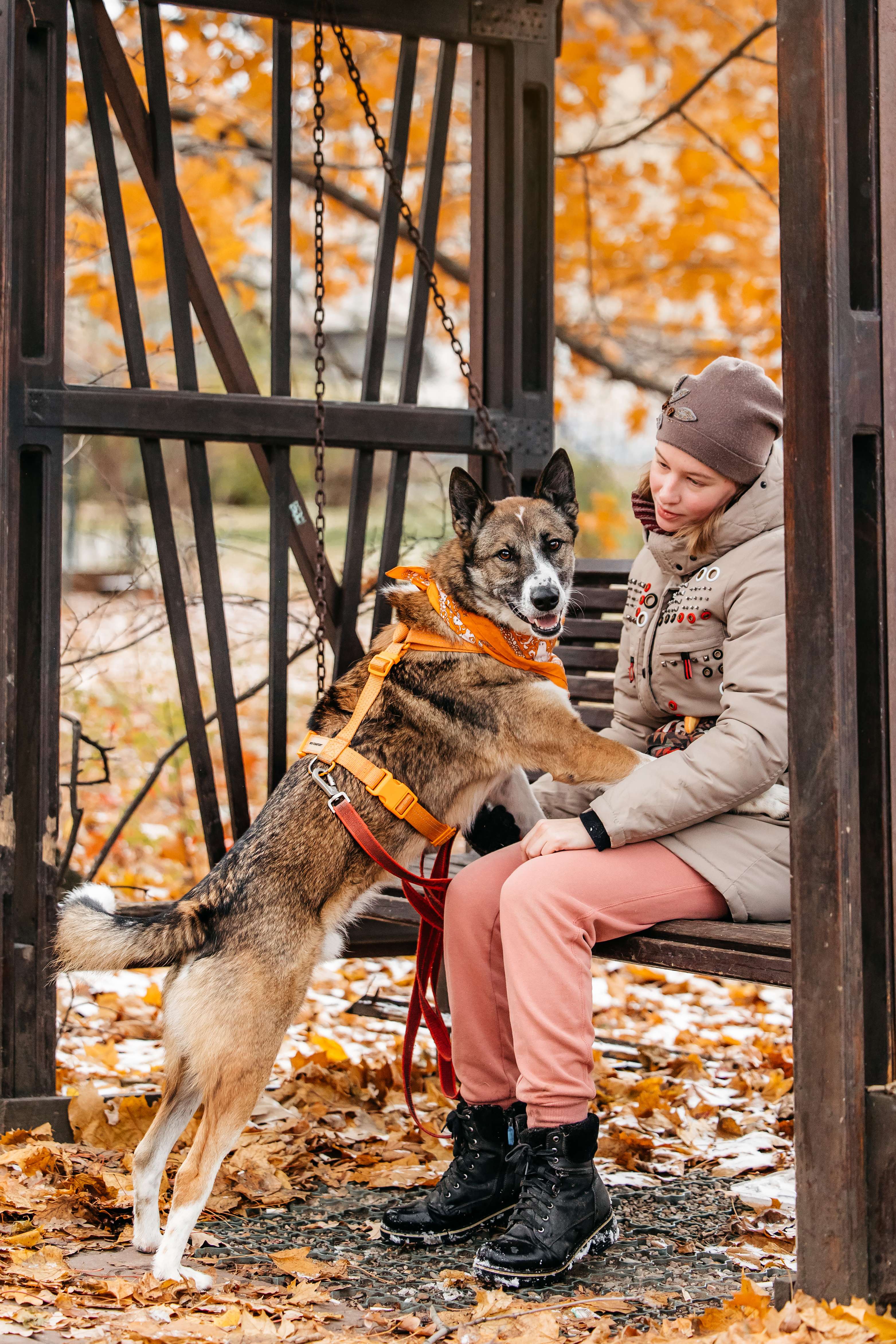 Солнечный Гера ищет дом
