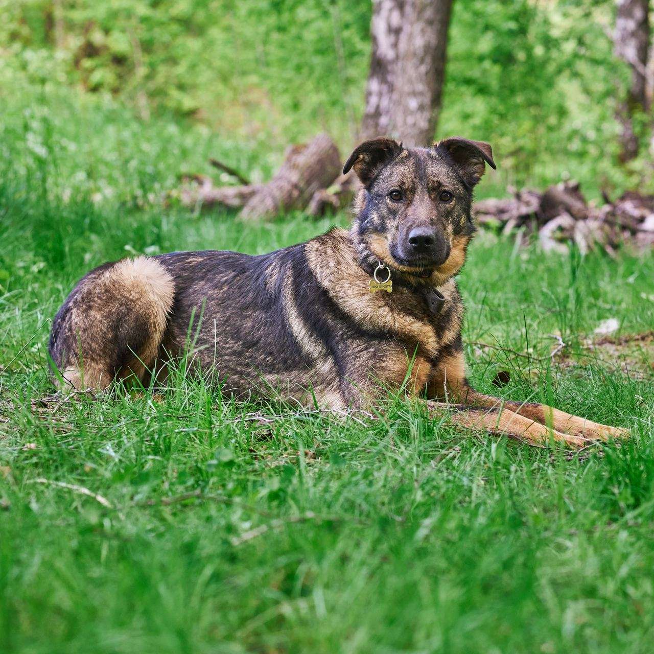 Зита