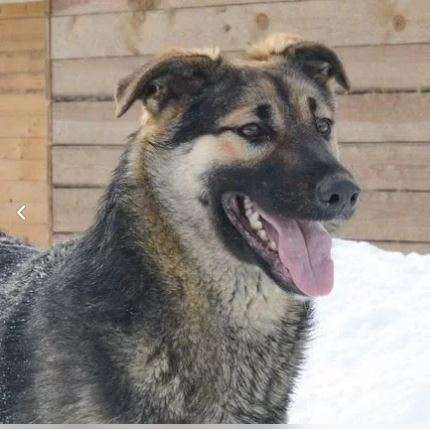 Финн