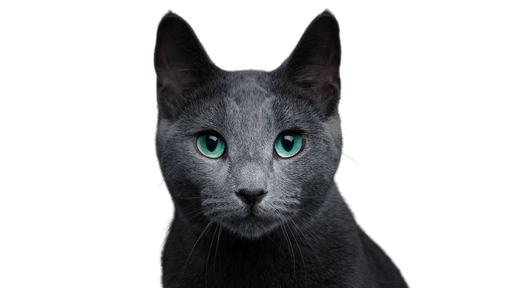 Фото со вкусом