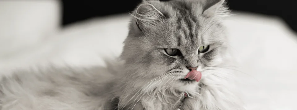 Поведенческие и эмоциональные причины