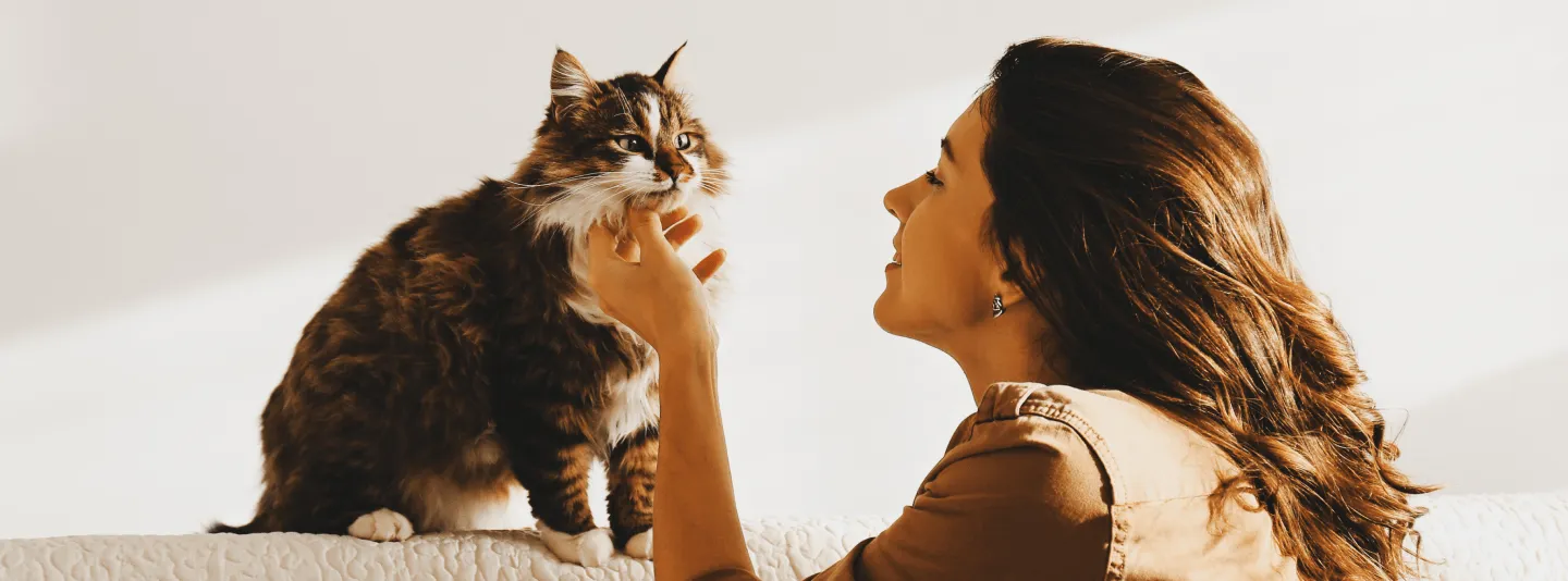 Кошка не любит сидеть на руках