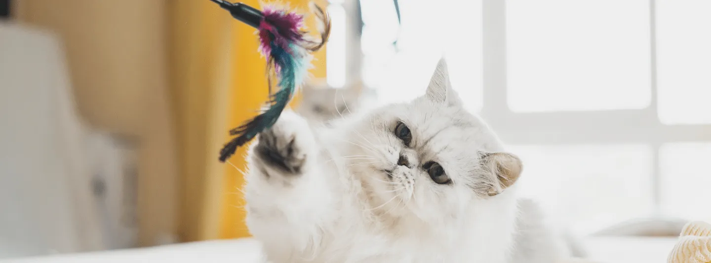 Игрушки для кошки