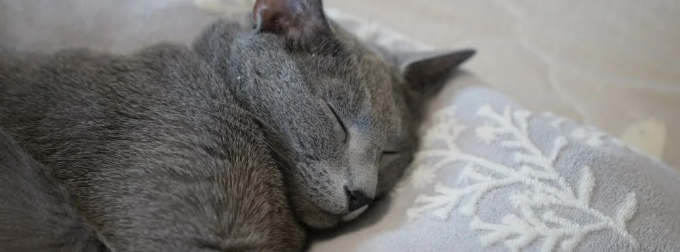 Значение из файла