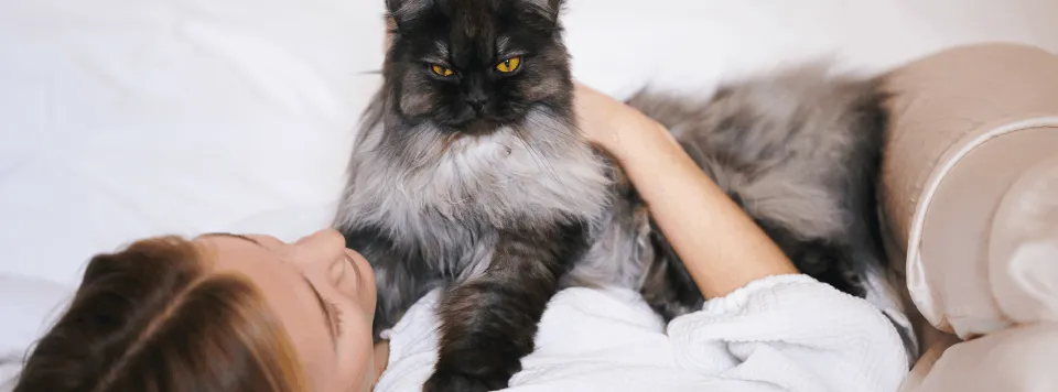 Кошка будит хозяина