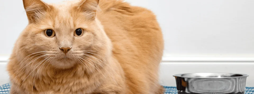 Норма или патология?