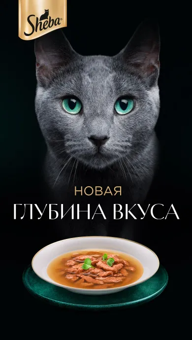 Фото слайда