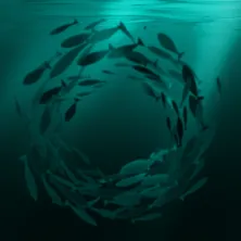 О водных ресурсах 