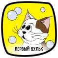 Первый бульк