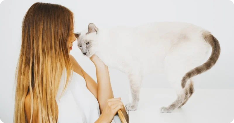 Проявление привязанности и любви