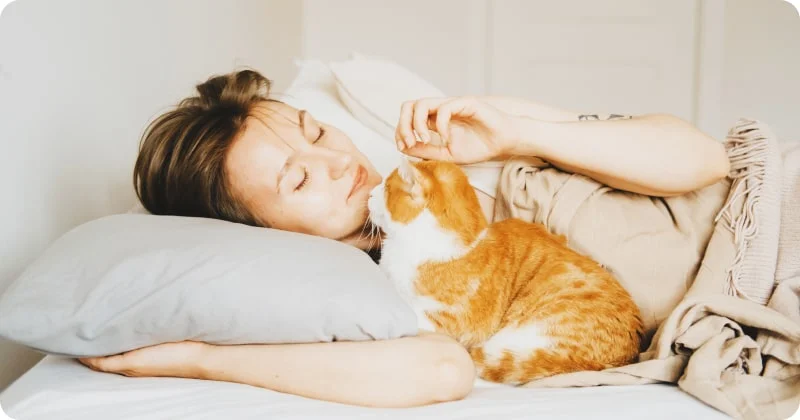 Корректировка поведения кошки