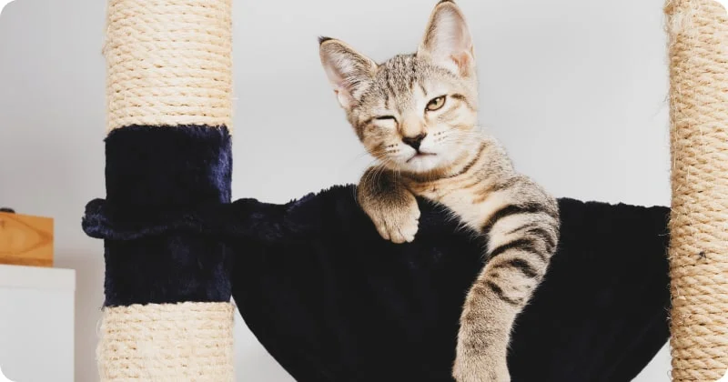 Основные причины прищуривания одного глаза