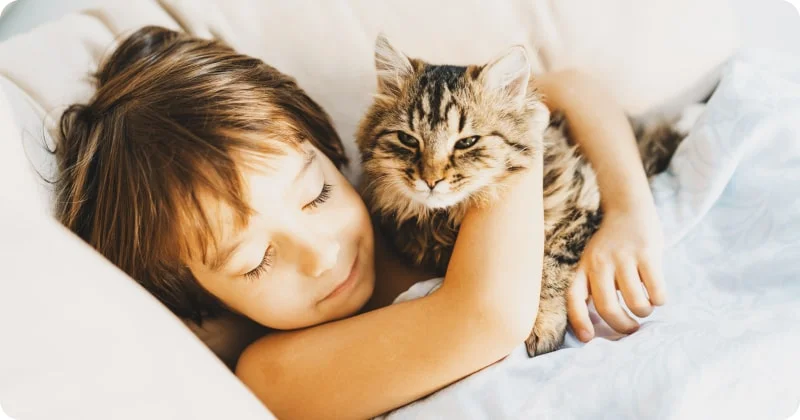 Кошка будит детей