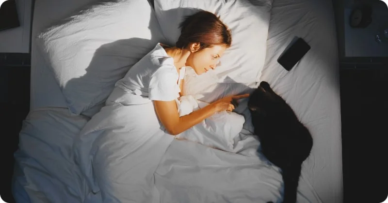 Кошка будит по ночам